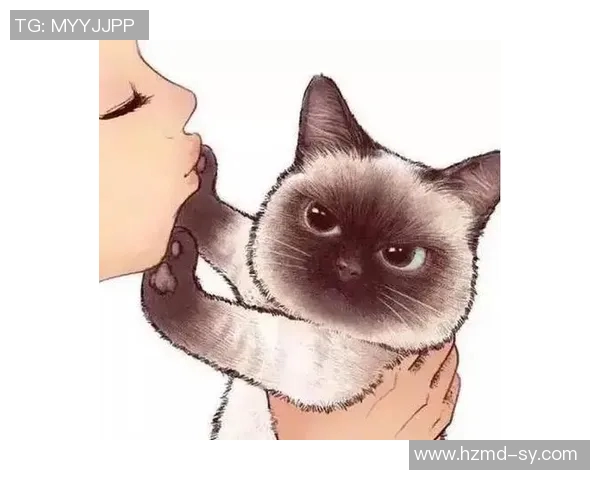 足球明星与猫咪的亲密关系揭秘你不知道的养猫球星们