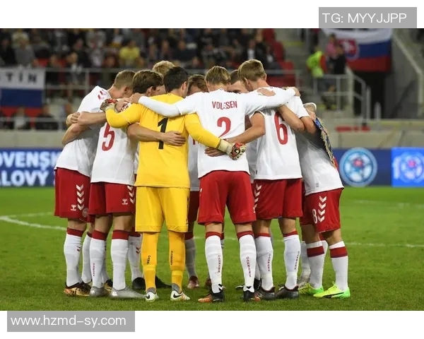 2018年斯洛伐克与丹麦精彩对决录像回顾与分析