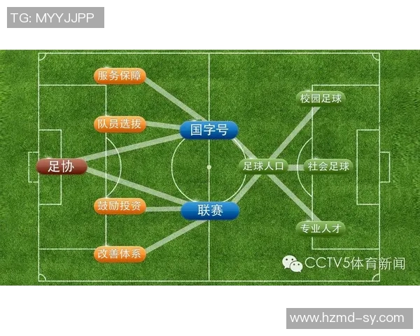 中国足球注册球员现状分析与未来发展趋势探讨